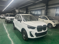 NUEN SUV Électrique Haute Vitesse Conduite à Gauche Conduite à Droite Voiture 5 Portes Véhicule à Énergie Nouvelle Économique