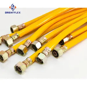 Gas Appliances Metal Hose Stainless Steel Flexible Gas Transfer Hose Hoses For Gas Oven