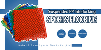 TD270 Gepolsterte Doppelschichtmatte für Alle Sportplatztypen, Stoßdämpfende Rückprallmatte Einfach zu Installieren