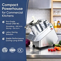 Welldone Commerciële Automatische Groente Snijder Snijden Shredden Fruit Chips Chopper Wortel Ui Aardappel Snijder Dicer Machine