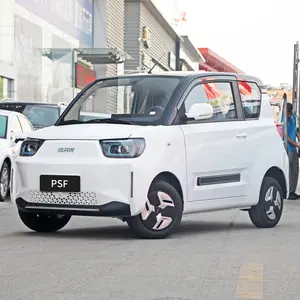 चीन 2022 नई उच्च गुणवत्ता इलेक्ट्रिक कार वयस्क बिजली के मिनी कार नई कार बेम Yuanbao