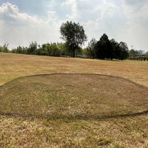 Filets <span class=keywords><strong>de</strong></span> pêche traditionnels faits à la main faits à la main <span class=keywords><strong>Filet</strong></span> <span class=keywords><strong>de</strong></span> coulée à l'ancienne - Product Image 6