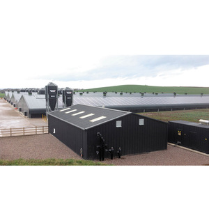 Kết cấu thép giá thấp miễn phí phạm vi nhà/broilers nhà - Product Image 2