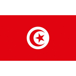 Haute qualité professionnel 90x150cm 100% Polyester décoratif grand affichage extérieur drapeaux tunisiens - Product Image 2