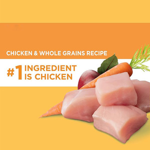 Alimento Seco para Cães com Sabor de Frango 100% Nutricionalmente Balanceado e Rico em Proteínas - Sem Conservantes Artificiais, Direto da Fábrica - Product Image 5