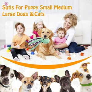 Jouets à couiner pour chien personnalisés / Jouets à couiner en peluche pour chiot / Jouets à couiner en peluche résistants pour chien - Product Image 2