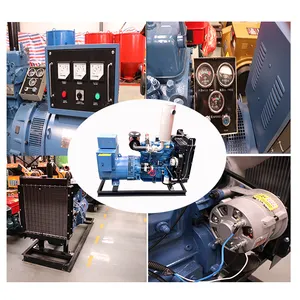 Schwenkgenerator Motor Dieselstarter 2-Zylinder luftgekühlter Dieselgenerator offener Typ Halbautreiler