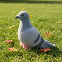 Offre Spéciale – Peluche Pigeon de Simulation 20 cm, Poupée Réconfortante avec Rembourrage en Coton PP Ultra Doux, Cadeau d'Anniversaire Créatif et Amusant