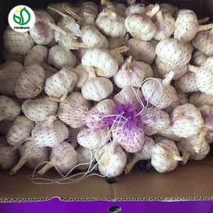 Ajo Rojo Orgánico Fresco de China, Marca Fenduni, 10 kg/caja - Product Image 4