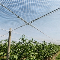 Landbouwhagelnet Tuinnet Groenten en fruit Hagelwerend zonder schaduw Wit Visueel aantrekkelijk Anti-hagelnet
