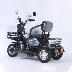 Triciclo Eléctrico para Pasajeros, Motocicleta Todoterreno de 3 Ruedas, Motocross para Adultos, Edición Estándar, Carrocería Abierta - Product Image 2