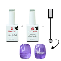 ISAY BEAUTY Vernis à ongles gel magnétique à effet œil de chat brillant longue durée 15 ml Marque privée 48 couleurs Poudre LED 30s