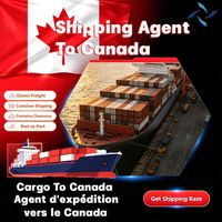 Agente de envío Canadá Transporte marítimo Puerto de Montreal Agente de envío marítimo Ddp Transporte de carga Servicio de almacenamiento