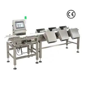Industrial Conveyor Belt Checkweigher for Grading Fish