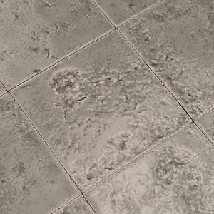 Piastrella Bahia-13 Grigia 13x13 Cm, Spessore 9 Mm, Finitura Lucida, Bordi Irregolari - Product Image 5