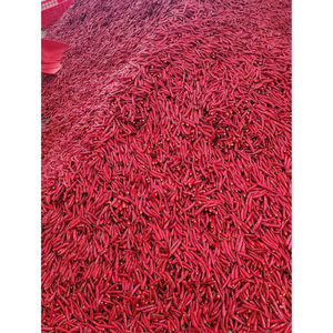 Polvo de chile rojo de primera calidad, color rico y calor, perfecto para usos culinarios y mezclas de especias, fábrica de Vietnam - Product Image 3