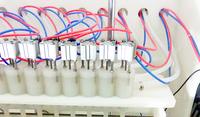 Machine de remplissage de type linéaire d'eau de blanchiment/remplisseur automatique de javelle pour le liquide moussant chimique/niveau liquide de haute précision