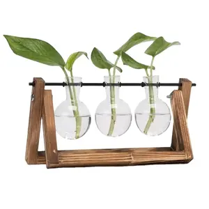 Supporto in legno per interni stazioni di propagazione per piantare acqua fioriera in vetro ad aria vaso per lampadine ornamenti in vetro trasparente piante terrario - Product Image 5