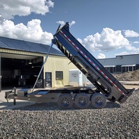 Trailer Dump Hidrolik 3 As Hengxin untuk Pertanian, Pengangkut Kargo Pertanian, Biji-bijian/Pupuk/Panen, Baja Q235, 3000kg, Manual/Listrik