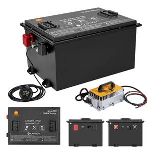 Batterie per auto da golf elettriche 48v 100ah 200ah club car golf cart batteria agli ioni di litio - Product Image 3