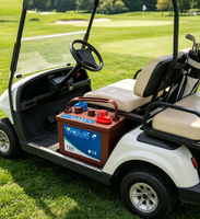 Baterai Asam Timbal Siklus Dalam VELA 4-EW-180 8V 180Ah untuk Kendaraan Golf dan Kendaraan Wisata