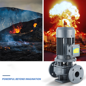 QY Centrifugues En Ligne IRG 2inch Cast Iron End Suction Centrifugal Pump Prices Vertical Inline Pump - Product Image 5