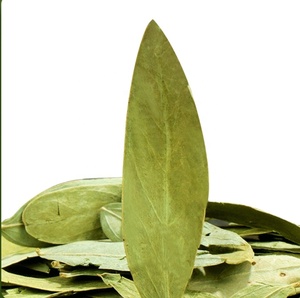 KAIYANGE venta al por mayor naturaleza OEM Etiqueta Privada ventilador <span class=keywords><strong>Xie</strong></span> Ye té hojas secas de Senna HOJA DE Senna potente té de barriga plana té adelgazante - Product Image 1