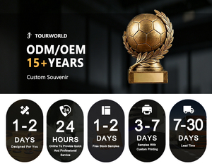 Fabricant <span class=keywords><strong>de</strong></span> trophées en résine dorée personnalisés, coupe <span class=keywords><strong>de</strong></span> football dorée, souvenirs pour les tournois sportifs scolaires, cadeaux personnalisés - Product Image 5