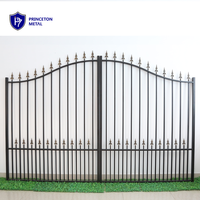 Portes d'allée à double balançoire en aluminium simples modernes en métal Princeton