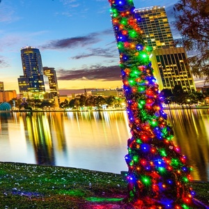 Kommerzielle IP65-bewertete 5-mm-LED-Weihnachtsbeleuchtung für den Außenbereich mit 6 "Abstand für die Außen anzeige - Product Image 6