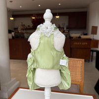Vêtements d'été élégants et chics pour chats et chiens, robe pour animaux de compagnie, accessoires photo charmants, tenue pour sorties du week-end - Remise en gros