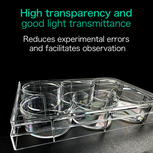 Plaque à 6 puits Équipement de laboratoire Plat de culture cellulaire Consommables de laboratoire Stérile Premium Usine Ventes directes Plaque de culture bactérienne - Product Image 4