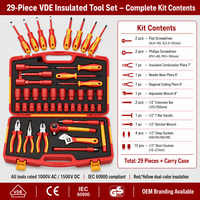 Ensemble d'outils professionnels isolés VDE 1000V en acier au chrome-vanadium avec mallette rigide pour réparation de véhicules électriques, tournevis et pinces
