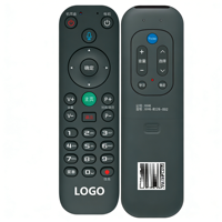 Télécommande universelle intelligente pour téléviseur, remplacement de la télécommande vocale BT, compatible avec les mini-téléviseurs et les boîtiers TV