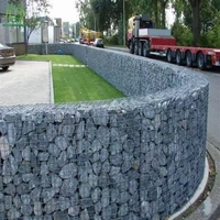Panier gabion robuste de tailles standard chinoises, revêtu de PVC, vente en gros