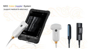 Échographe vétérinaire pour grands animaux, sonde rectale linéaire MX5 pour l'élevage de vaches laitières et de chevaux - Product Image 6