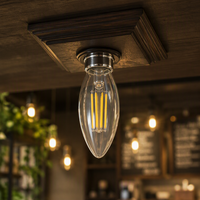 Ampoules LED à filament en verre transparent B35 à économie d'énergie, 2700K, indice d'indiceation des couleurs élevé, lampe LED en forme de bougie pour luminaires en cristal