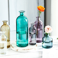 Vase en verre transparent de couleur Offre Spéciale vase hydroponique en forme de petite bouche pour arrangement de fleurs vase pour ventre