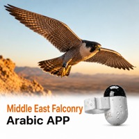 Traceur GPS pour Falconerie, Mini 2,2g Étanche IP68, Suivi d'Oiseaux en Temps Réel à Longue Portée et Large Plage de Température, Fournisseur en Gros de Falcons pour le Moyen-Orient