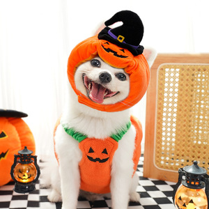 Disfraz de Calabaza de Halloween para Perro con Sombrero de Bruja, Ropa Acolchada de Algodón para Mascotas, Atuendo Divertido para Perros Pequeños - Product Image 2