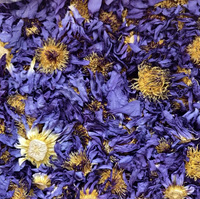 Fleurs de lotus bleues séchées brutes, lys bleus égyptiens, fleurs entières pour formule de thé personnalisée
