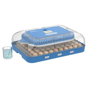 Nieuwste 70 Eieren Automatische Kippenei Incubator En Hatcher Machine
