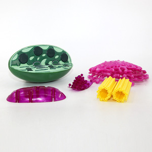 Modèle de chloroplaste Qinghua, modèle d'organes microscopiques végétaux, instrument pédagogique pour la biologie et la médecine, pour les élèves du primaire et du secondaire - Product Image 2