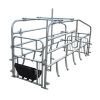 Nuevo Establo de Gestación para Cerdas, Jaula de Acero Inoxidable Galvanizado, Corral para Cerdos, Equipo de Cría de Cerdos con Larga Vida Útil