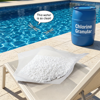 E20260805 Traitement chimique granulaire personnalisable pour piscines, destiné à l'exportation en vrac
