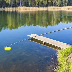 ไม้เก็บดิสก์กอล์ฟแบบยืดหดได้ 16 ฟุต พร้อมตะขอสแตนเลสทนทาน - Product Image 6