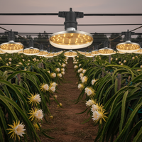 Ampoules LED de croissance des plantes à spectre complet en aluminium pour l'extérieur, fabrication OEM, E27 15W, soutien à la floraison pour le fruit du dragon et la gerbera