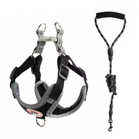 Ensemble laisse et gilet tactique premium, fiable et durable pour chien, ergonomique, en tissu mesh imperméable de haute qualité, pour chiens Chihuahua