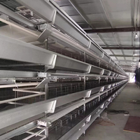 Cage à poules pondeuses entièrement automatique en H avec système d'alimentation, d'abreuvement, de collecte des œufs et de nettoyage du fumier