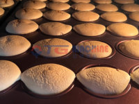 Chaîne de production de gâteaux entièrement automatique TG Machine, en acier inoxydable 304, capacité 100 kg/h, 380V